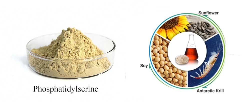 Phosphatidylserine powder Phosphatidylserine powder