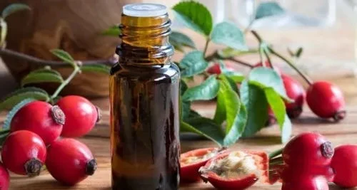 rosehip oil bulk rosehip oil bulk