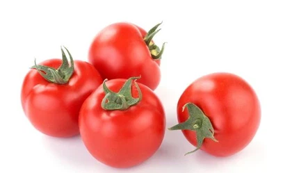 Tomato Tomato