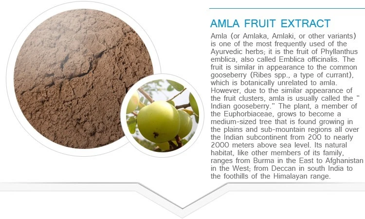 emblica officinalis fruit extract emblica officinalis fruit extract