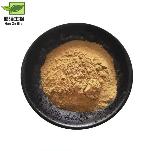 Ekstrakt z szałwii Officinalis w proszku