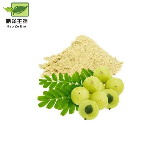 Ekstrakt z owoców Emblica Officinalis